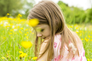 Little girl sitting on a flower meadow - SARF001779