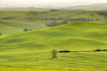 Italien, Toskana, Val d'Orcia, Hügellandschaft - MKFF000195