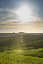 Italy, Tuscany, Val d'Orcia, rolling landscape at backlight - MKFF000199