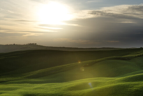 Italien, Toskana, Val d'Orcia, Hügellandschaft bei Gegenlicht - MKFF000200