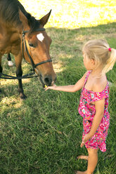 Girl feeding horse on meadow - TOYF000408