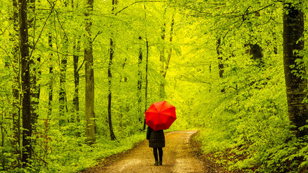 Germany, Baden-Wuerttemberg, Swabian Alb, woman witn red umbrella on forest track - WGF000653