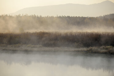 USA, Wyoming, Grand Teton National Park, coyote at Snake River in morning mist - RUEF001585