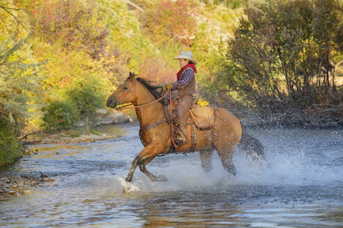 USA, Wyoming, junger Cowboy reitet auf seinem Pferd über den Fluss - RUEF001591