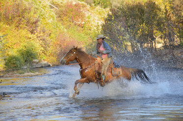 USA, Wyoming, Cowgirl reitet auf seinem Pferd über den Fluss - RUEF001594