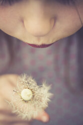 Little girl with blowball, close-up - SARF001780