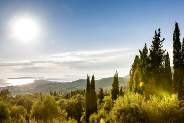 Greece, Corfu, cypresses at the coast in sunlight - EGBF000063