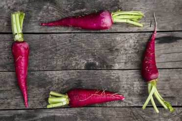 Four red radishes - SARF001783