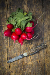 Bunch of organic radish and pocket knife - LVF003379