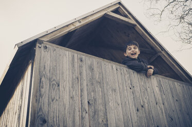 Boy playing in a tree house - MJF001519