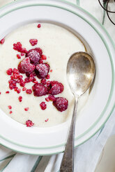 Hausgemachter Vanillepudding mit Himbeeren - SBDF001863