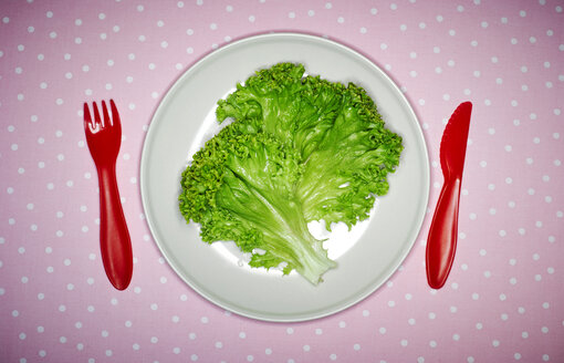 Teller mit einem Blatt Lollo Bionda-Salat und rotem Plastikbesteck auf rosa Stoff - KSWF001517