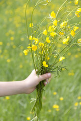 Kleines Mädchen hält einen Strauß Butterblumen in der Hand - YFF000431