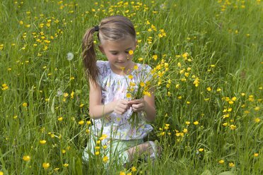 Kleines Mädchen pflückt Butterblumen auf einer Wiese - YFF000432