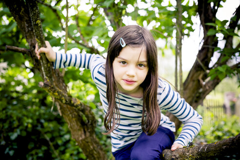 Porträt eines Mädchens, das auf einen Baum klettert - LVF003386