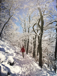 Germany, Palatinate Forest, woman in winter forest - GWF004014