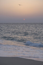 Oman, Ras al-Jinz, Sonnenaufgang an der Küste - HLF000898