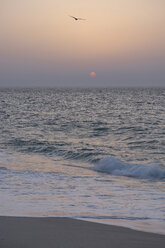 Oman, Ras al-Jinz, sunrise on the coast - HLF000898