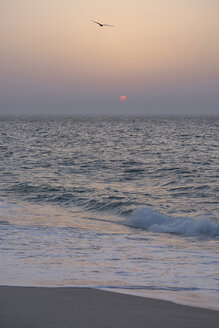 Oman, Ras al-Jinz, Sonnenaufgang an der Küste - HLF000898