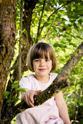 Portrait of smiling little girl climbing in a tree - LVF003395