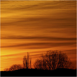 Sonnenuntergang in der Weseraue - HOHF001346