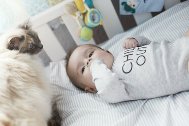 Baby lying in crib with cat - STKF001216