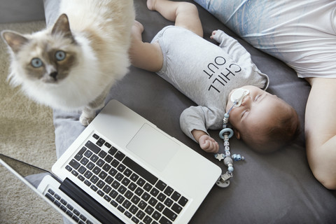 Junger Vater und Baby schlafen auf der Couch mit Katze und Laptop, lizenzfreies Stockfoto