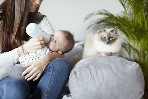 Junge Mutter, die ihr Baby mit der Flasche füttert, mit Katze auf der Couch, lizenzfreies Stockfoto