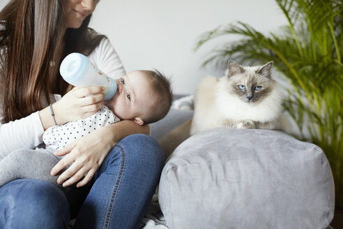 Junge Mutter, die ihr Baby mit der Flasche füttert, mit Katze auf der Couch - STKF001248