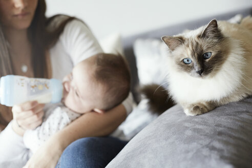 Junge Mutter, die ihr Baby mit der Flasche füttert, mit Katze auf der Couch - STKF001249