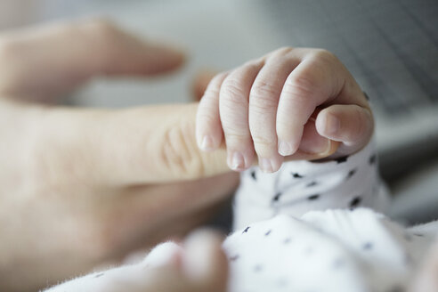 Close-up of baby holding father's finger - STKF001253