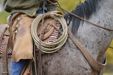 USA, Wyoming, Cowboy, close up of lasso and protective clothing - RUEF001603