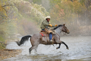 USA, Wyoming, Cowboy reitet auf seinem Pferd über den Fluss - RUEF001606