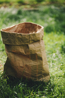 Brown paper bag on a meadow - BZF000153