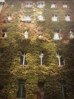 green building, with vine, Berlin, Germany - FBF000405