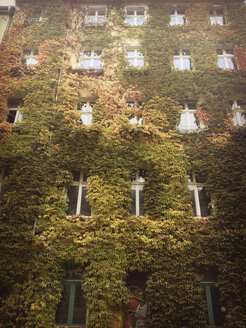 grünes Gebäude, mit Weinstock, Berlin, Deutschland - FBF000405