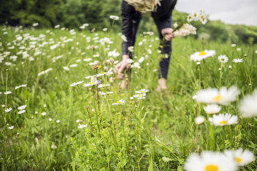 Frau pflückt Blumen auf einer Wiese - RIBF000064