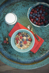 Fresh fruits, blueberries, raspberries and muesli in bowl - ASF005594