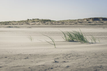 Deutschland, Schleswig-Holstein, St. Peter-Ording, Blick auf die Sanddüne - KEBF000188