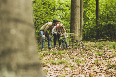 Family in forest examining small tree - UUF004271