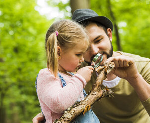 Mädchen mit Vater im Wald untersucht Ast mit Lupe - UUF004272