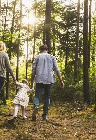 Familie beim Spaziergang im Wald, lizenzfreies Stockfoto
