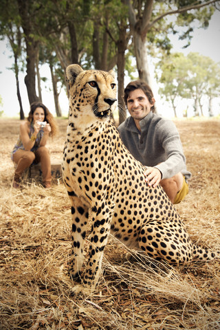 Südafrika, Mann streichelt zahmen Geparden auf Wiese mit Frau im Hintergrund, lizenzfreies Stockfoto