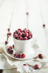 Frische Cranberries in einer Kaffeetasse - SBDF001883