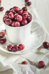 Frische Cranberries in einer Kaffeetasse - SBDF001884