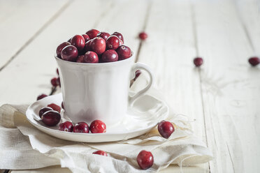 Frische Cranberries in einer Kaffeetasse - SBDF001886