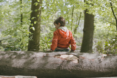 Deutschland, Bielefeld, Junge sitzt auf Baumstamm im Wald - MMFF000780