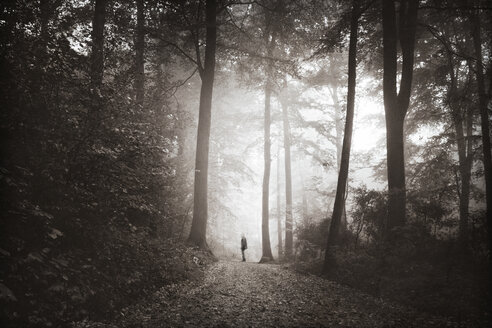 Mann geht auf Waldweg im Morgennebel - DWI000507