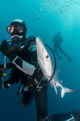 South Africa, Ocean, Diver with blue shark - GNF001335