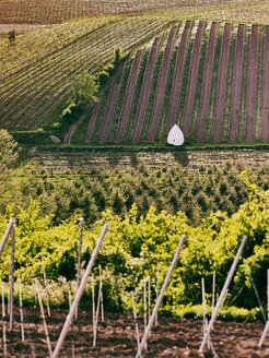 Deutschland, Hessen, Rheinhessen, Flonheim, Blick auf Trullo-Haus im Weinberg - BSCF000455